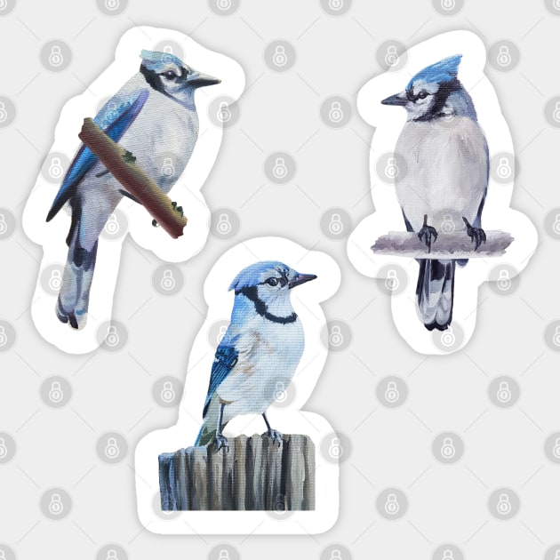 Painted Blue Jay set Sticker by EmilyBickell